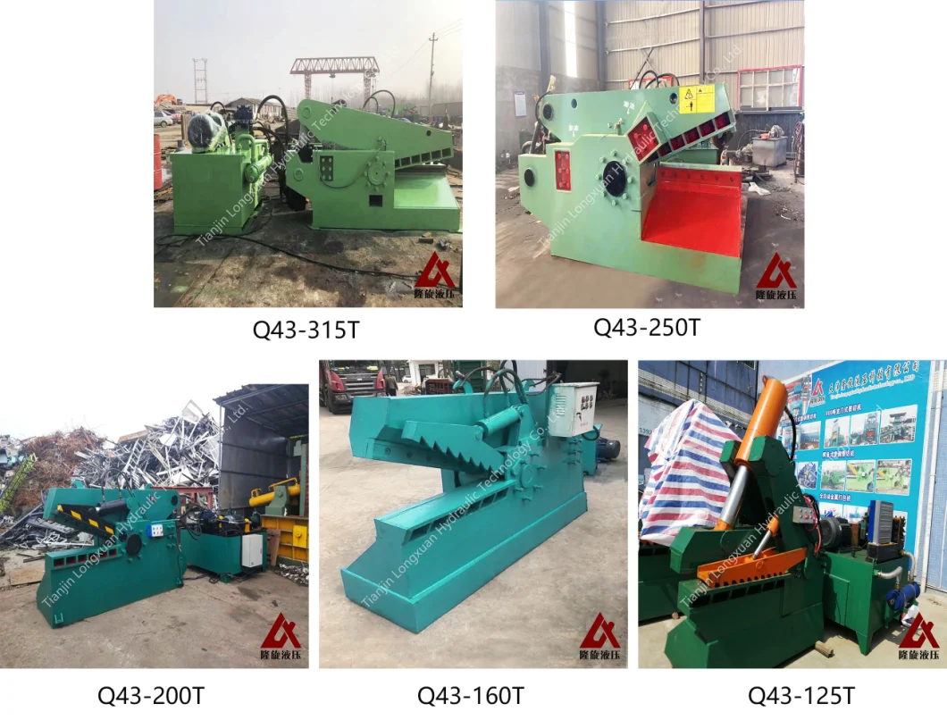 Q43-160t Crocodile Alligator Cutting Metal Recycling Hydraulic Shear